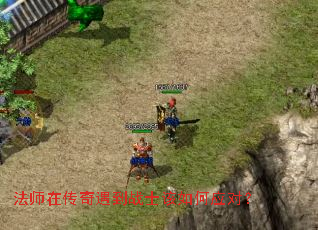 ʦڴսʿӦԣ