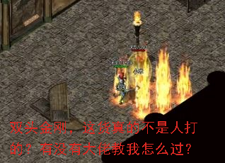 ˫ͷգĲ˴ģûднô