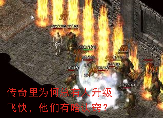 Ϊɿ죬ɶϣ