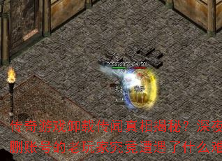 Ϸжشأҹŭɾ˺ŵҾʲô