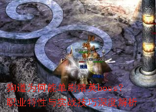 ΪܵˢӢbossְҵʵսȽ