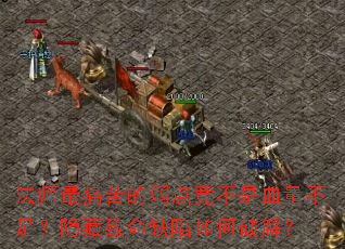 ʦʹ㾹Ѫ㣿ȱƽ⣿