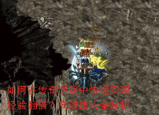 ڴϷпʵ־鷭Чȫ