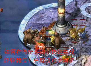 ڴϷпʵ־鷭Чȫ