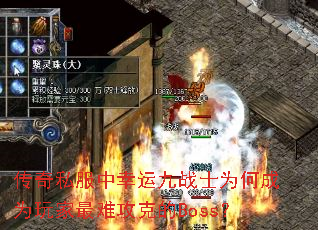 ˽˾սʿΪγΪѹ˵Boss
