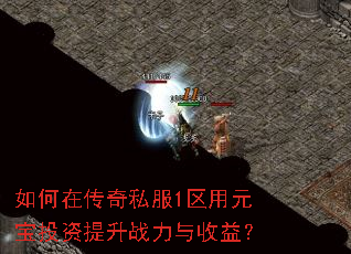 ڴ˽1ԪͶս棿