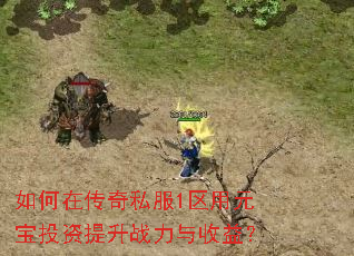 ڴ˽1ԪͶս棿