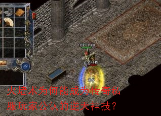 ǽΪܳΪ˽ҹϵ񼼣