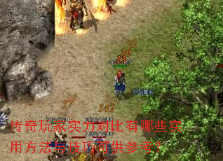 ʵԱЩʵ÷뼼ɿɹο