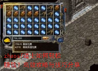 zhaosfʿ׬ǮЧ뼼ɷ
