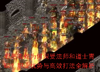 аΪܷʦ͵ʿְҵЧȫ