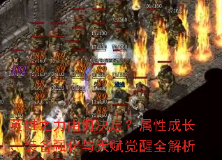 英雄之力由何决定?属性成长、装备强化与天赋觉醒全解析 英雄之力由何决定?属性成长、装备强化与天赋觉醒全解析