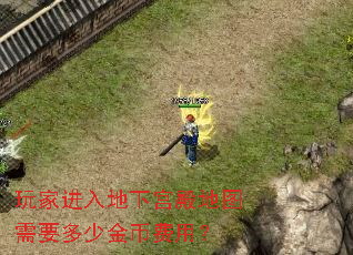 玩家进入地下宫殿地图需要多少金币费用? 玩家进入地下宫殿地图需要多少金币费用?