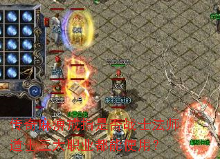 传奇麻痹戒指是否战士法师道士三大职业都能使用? 传奇麻痹戒指是否战士法师道士三大职业都能使用?