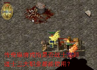 传奇麻痹戒指是否战士法师道士三大职业都能使用? 传奇麻痹戒指是否战士法师道士三大职业都能使用?