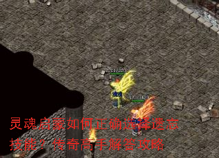 灵魂启蒙如何正确选择遗忘技能?传奇高手解答攻略 灵魂启蒙如何正确选择遗忘技能?传奇高手解答攻略