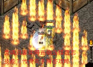 灵魂启蒙如何正确选择遗忘技能?传奇高手解答攻略 灵魂启蒙如何正确选择遗忘技能?传奇高手解答攻略