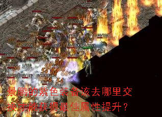 景鹏的紫色装备该去哪里交换才能获得最佳属性提升? 景鹏的紫色装备该去哪里交换才能获得最佳属性提升?