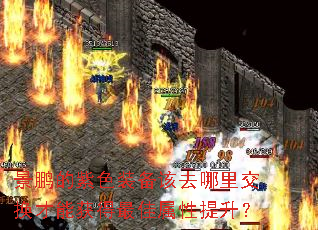 景鹏的紫色装备该去哪里交换才能获得最佳属性提升? 景鹏的紫色装备该去哪里交换才能获得最佳属性提升?