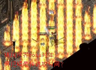 挑战世界boss时如何把握最佳进攻时间? 挑战世界boss时如何把握最佳进攻时间?