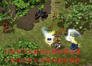 传奇骨玉和血饮究竟如何选择?实战对比与决策指南全解析 传奇骨玉和血饮究竟如何选择?实战对比与决策指南全解析