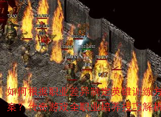 如何根据职业差异制定英雄训练方案?传奇游戏全职业培养技巧解析 如何根据职业差异制定英雄训练方案?传奇游戏全职业培养技巧解析