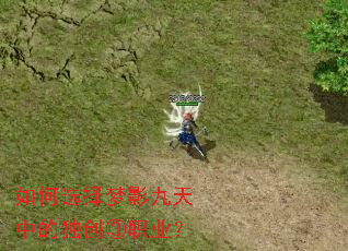如何选择梦影九天中的独创③职业? 如何选择梦影九天中的独创③职业?