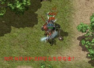 如何有效保护法师职业免受攻击? 如何有效保护法师职业免受攻击?