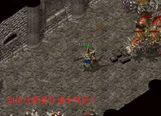 如何快速提升道士等级? 如何快速提升道士等级?