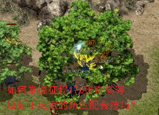 如何掌握征程176传奇高等级新手玩家的角色配合技巧? 如何掌握征程176传奇高等级新手玩家的角色配合技巧?