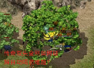 传奇双头金刚如何破解自动喝药难题? 传奇双头金刚如何破解自动喝药难题?