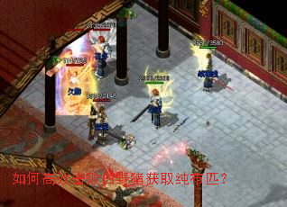 如何高效击败白野猪获取纯布匹? 如何高效击败白野猪获取纯布匹?