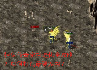 神鬼传奇宠物进化全攻略?如何打造最强宠物? 神鬼传奇宠物进化全攻略?如何打造最强宠物?