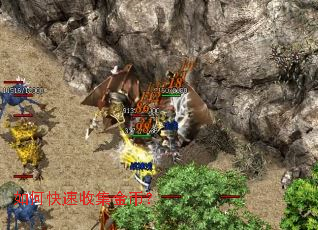 如何快速收集金币? 如何快速收集金币?