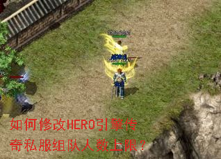 ޸HERO洫˽ޣ