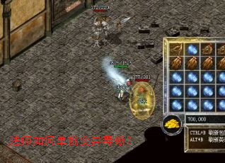 法师如何单挑变异毒蜥? 法师如何单挑变异毒蜥?