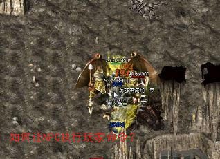 如何让NPC执行玩家命令? 如何让NPC执行玩家命令?