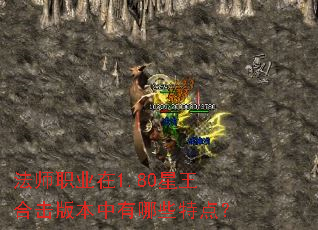 法师职业在1.80星王合击版本中有哪些特点? 法师职业在1.80星王合击版本中有哪些特点?