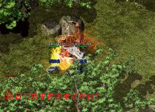 白日门猫王在哪里能找到? 白日门猫王在哪里能找到?