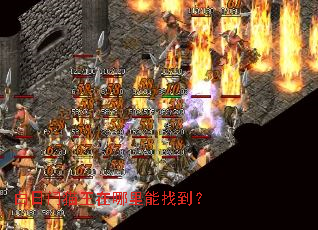 白日门猫王在哪里能找到? 白日门猫王在哪里能找到?