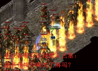 ����Ҵ���̽�����˹�Ĺ����Щ����������˽���