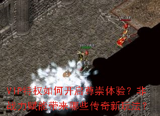 VIP��Ȩ��ο���������飿��ս�����ܴ�����Щ�������淨��