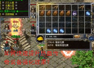 ��ο���������Ѫ����װ��ǿ��Ч����