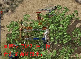 ��ο���������Ѫ����װ��ǿ��Ч����