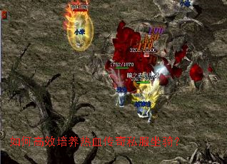 ��θ�Ч������Ѫ����˽�����