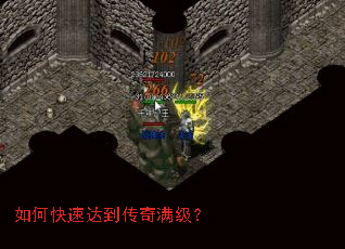 ��ο��ٴﵽ����������