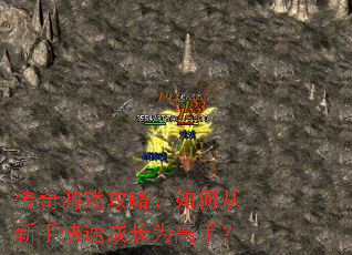 ������Ϸ���ԣ���δ����ֿ��ٳɳ�Ϊ���֣�