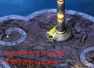 ���紫��Ҳ�г弶��������ο��������ý�����