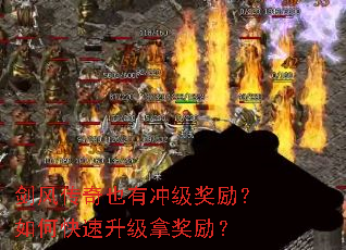 ���紫��Ҳ�г弶��������ο��������ý�����