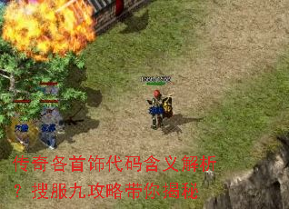 传奇各首饰代码含义解析?搜服九攻略带你揭秘 传奇各首饰代码含义解析?搜服九攻略带你揭秘